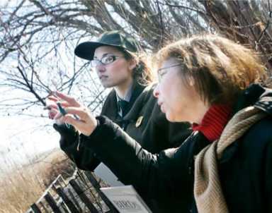 Volunteers plant 18,000 trees to replenish Jamaica Bay after Hurricane Sandy