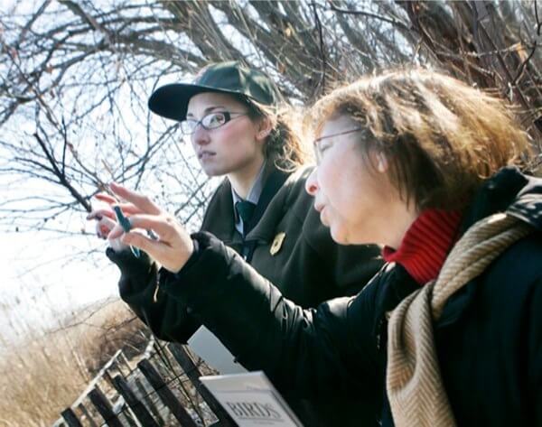Volunteers plant 18,000 trees to replenish Jamaica Bay after Hurricane Sandy