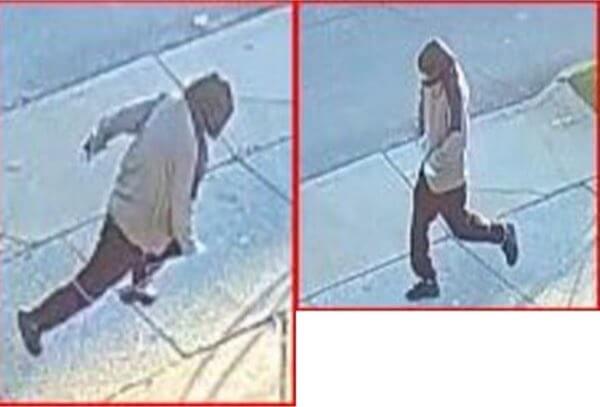 Two plead guilty to 2015 Whitestone slashing: DA