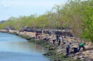 Flushing Bay cleanup Riverkeeper photo