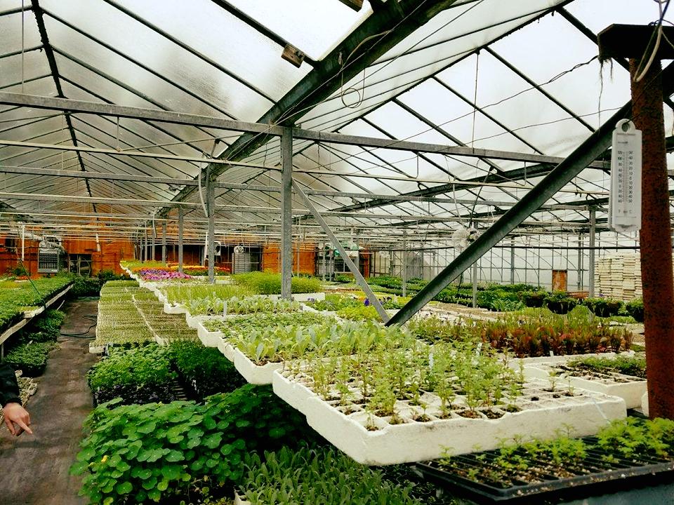 Green Thumb Farm