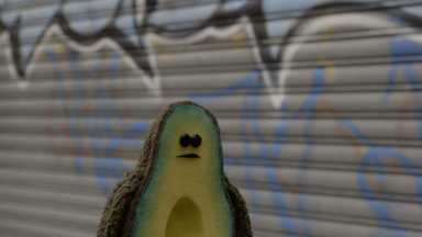 avo 1