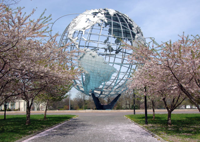cherry blossom