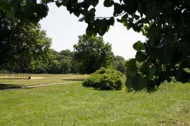 Dead body found in Kissena Park identified as Corona teen: NYPD