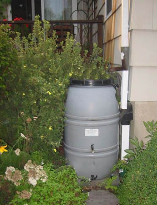 rainbarrel-1