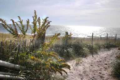 Electeds warn businesses will suffer after city closes section of Rockaway Beach for the summer