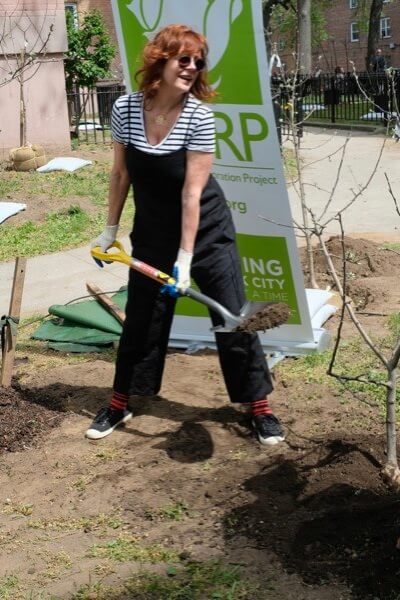 Susan Sarandon returns home to Queens to plant trees