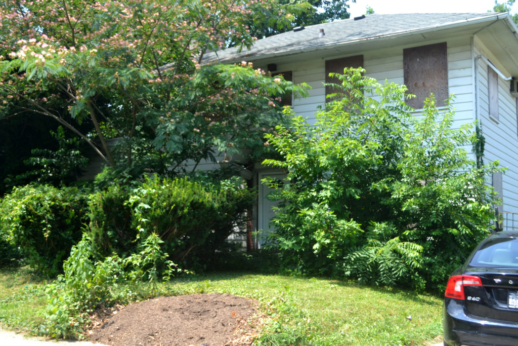 The Flushing property