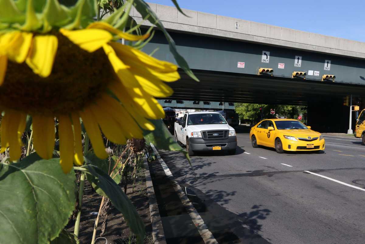 Photo by Alejandra O’Connell-Domenech