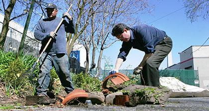 Civic organizes cleanup of Station Road greenery