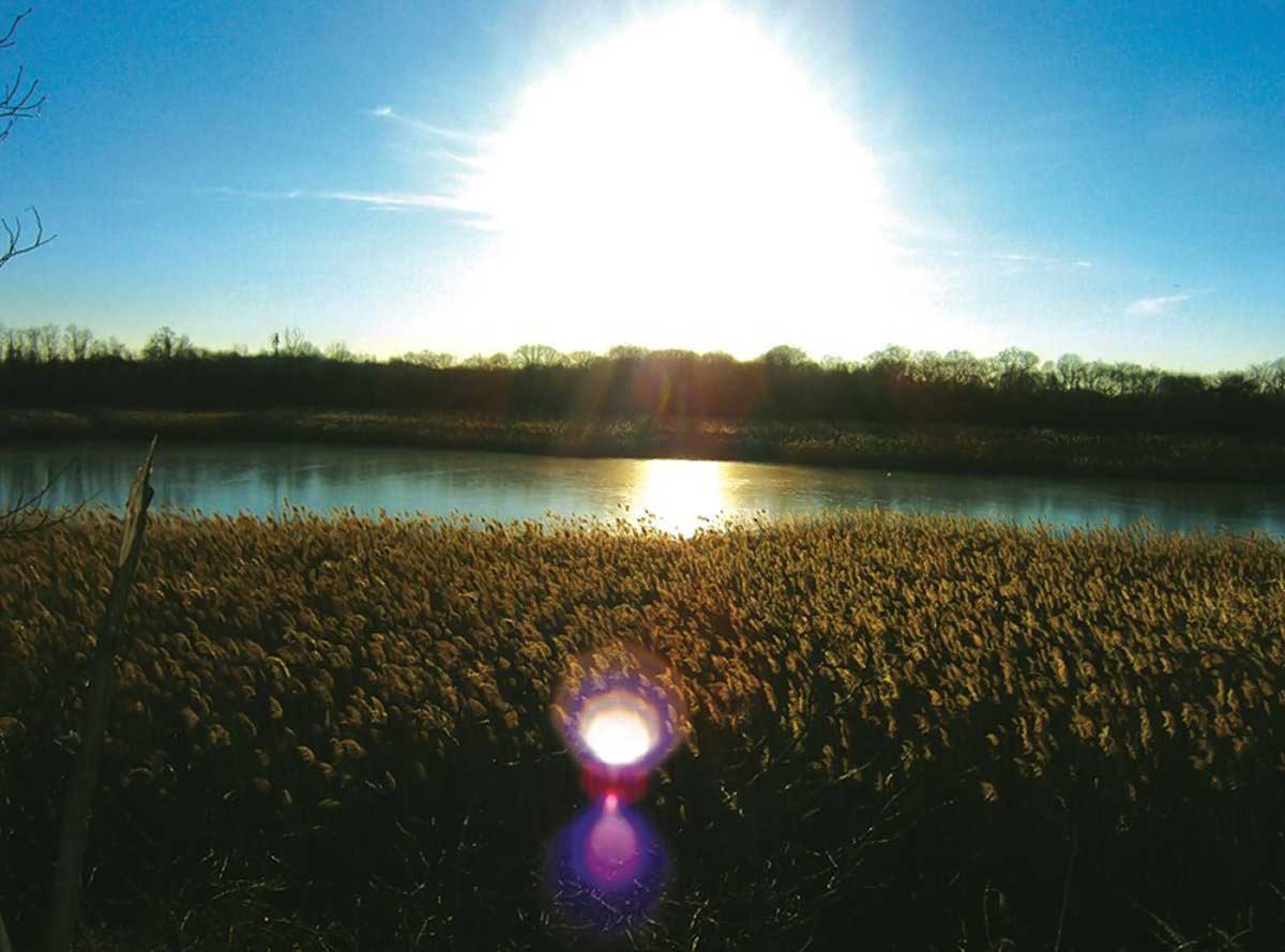 Ridgewood Reservoir gets protected status after years of activism