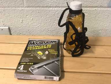 Two Bronx residents were caught mail fishing in Sunnyside last week using these sticky mouse traps to steal checks from a mailbox.