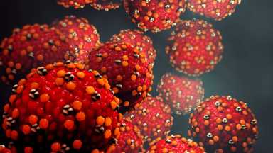 A 3-D illustration of the Measles virus