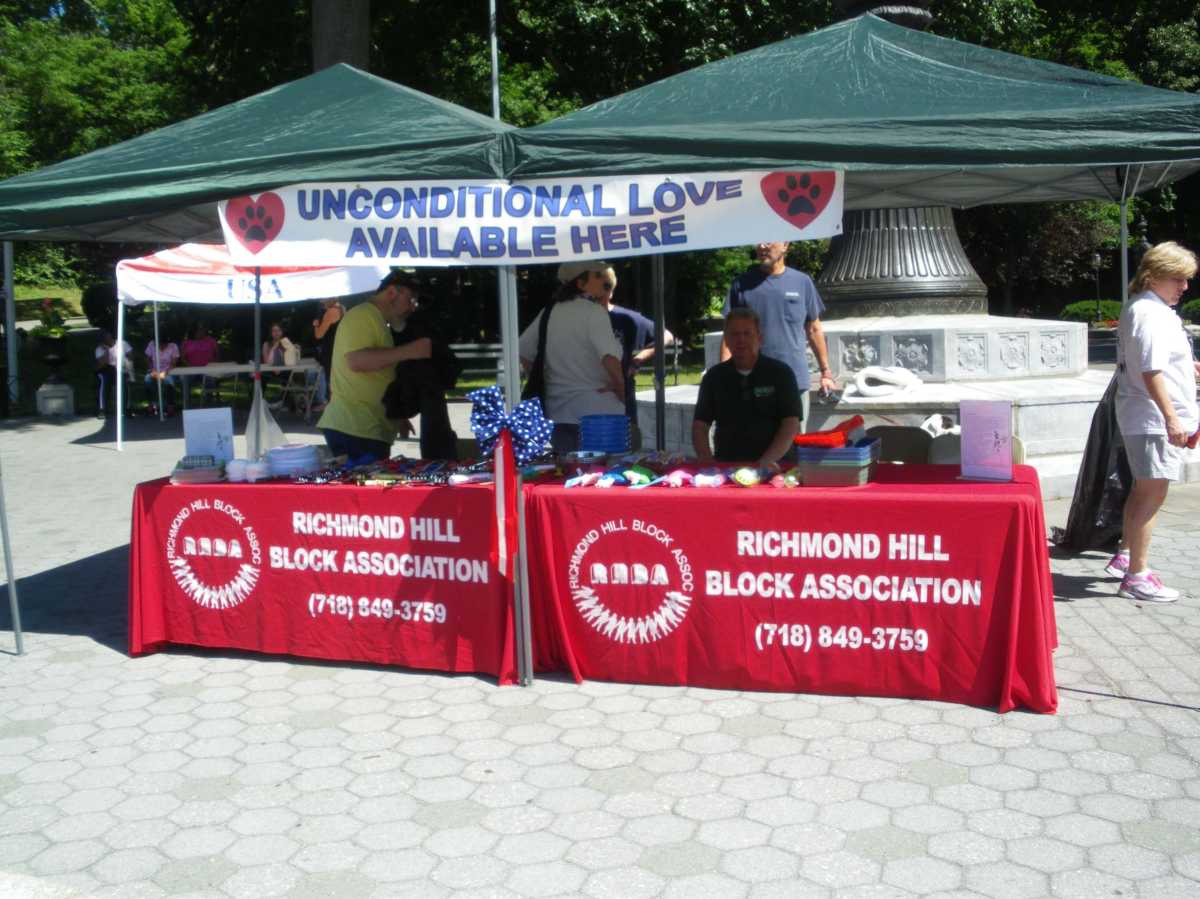 pet adoption