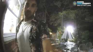 Screen Shot 2019-07-03 at 9.02.59 AM