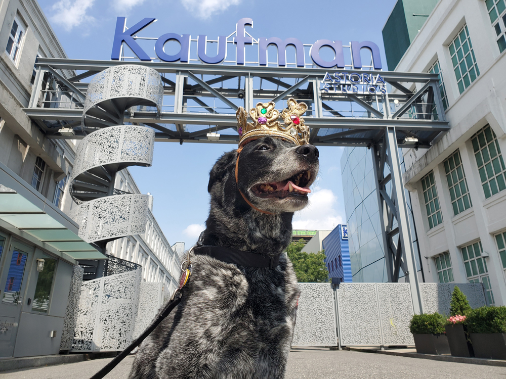 KING.BLUE