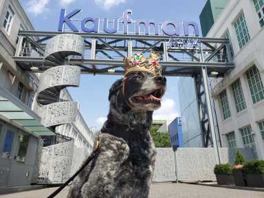 KING.BLUE