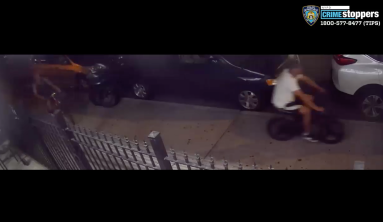 Screen Shot 2019-09-13 at 12.19.36 PM