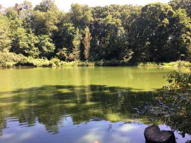 water_2