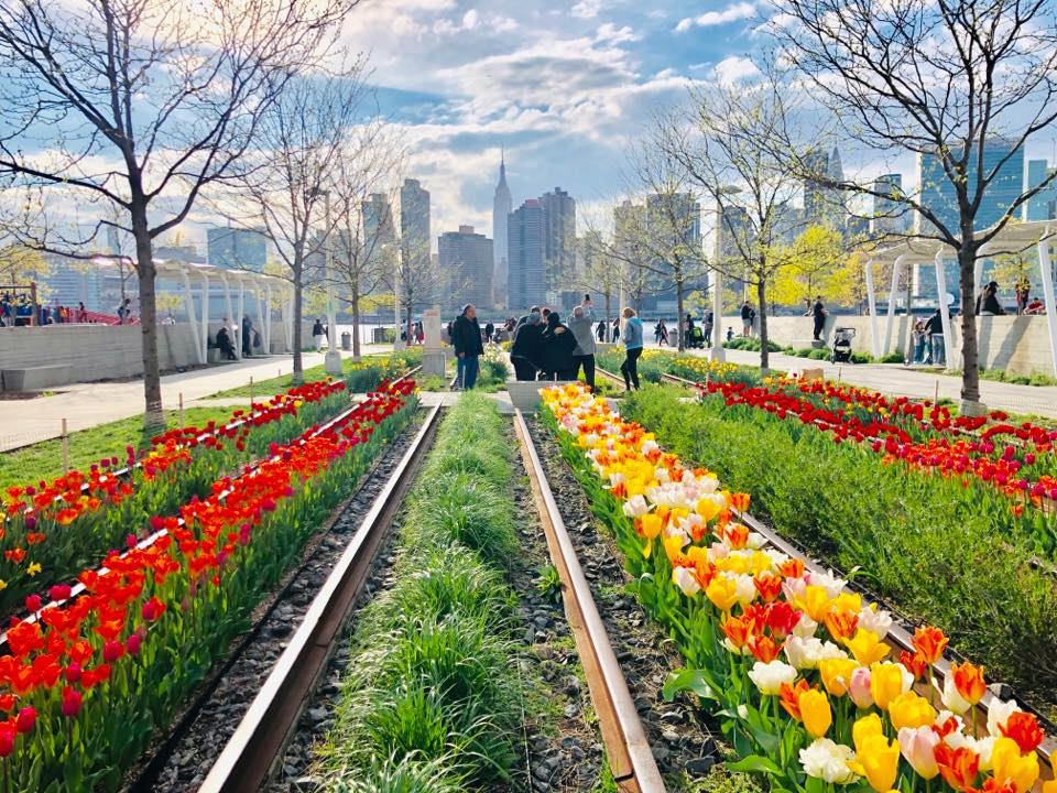 58961586_901368193367084_3977899031954194432_n (1)