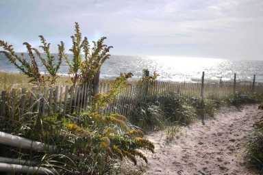 rockawaystunner_2018_05_25_q01_sl (1)