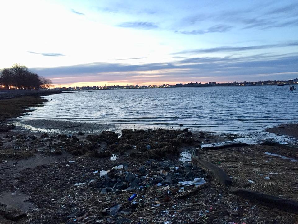 MacNeil Shoreline – March 2018