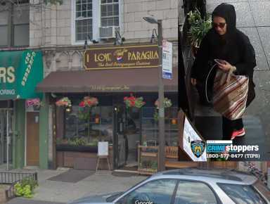 108 credit card wallet thief