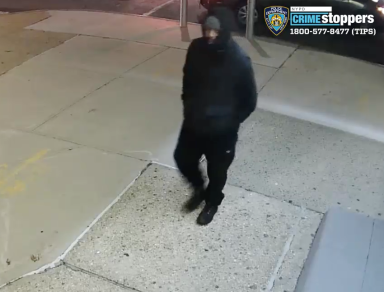 Screen Shot 2019-12-18 at 11.59.06 AM