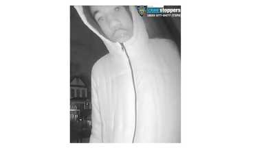 162-20 Burg 106 Pct Burg Pattern Photo 1