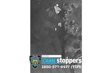 231-20 Burglary 108Pct 1-14-2020 Photo