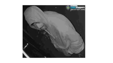 1202-20 114 Pct Burg Pattern Photo 2