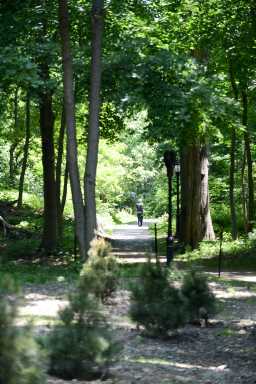 DA4_9826_06-02-17 Forest Park