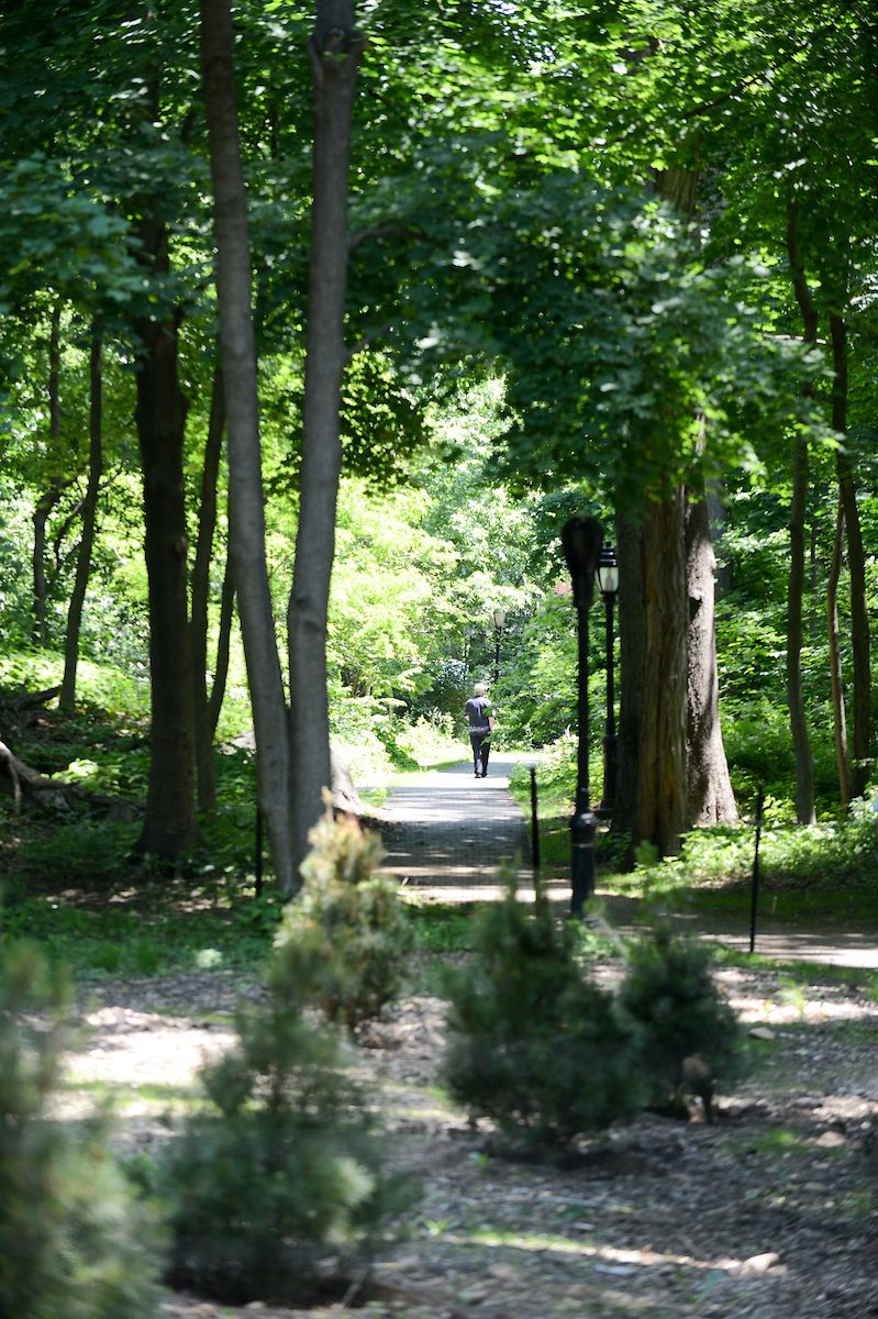 DA4_9826_06-02-17 Forest Park