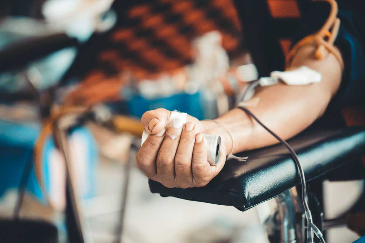 Donors are donating blood to the hospital : the concept of medical giving