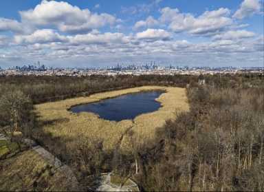 Ridgewood
