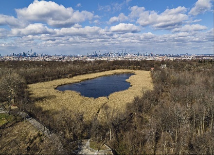Ridgewood