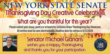 Screen Shot 2020-11-16 at 4.04.45 PM