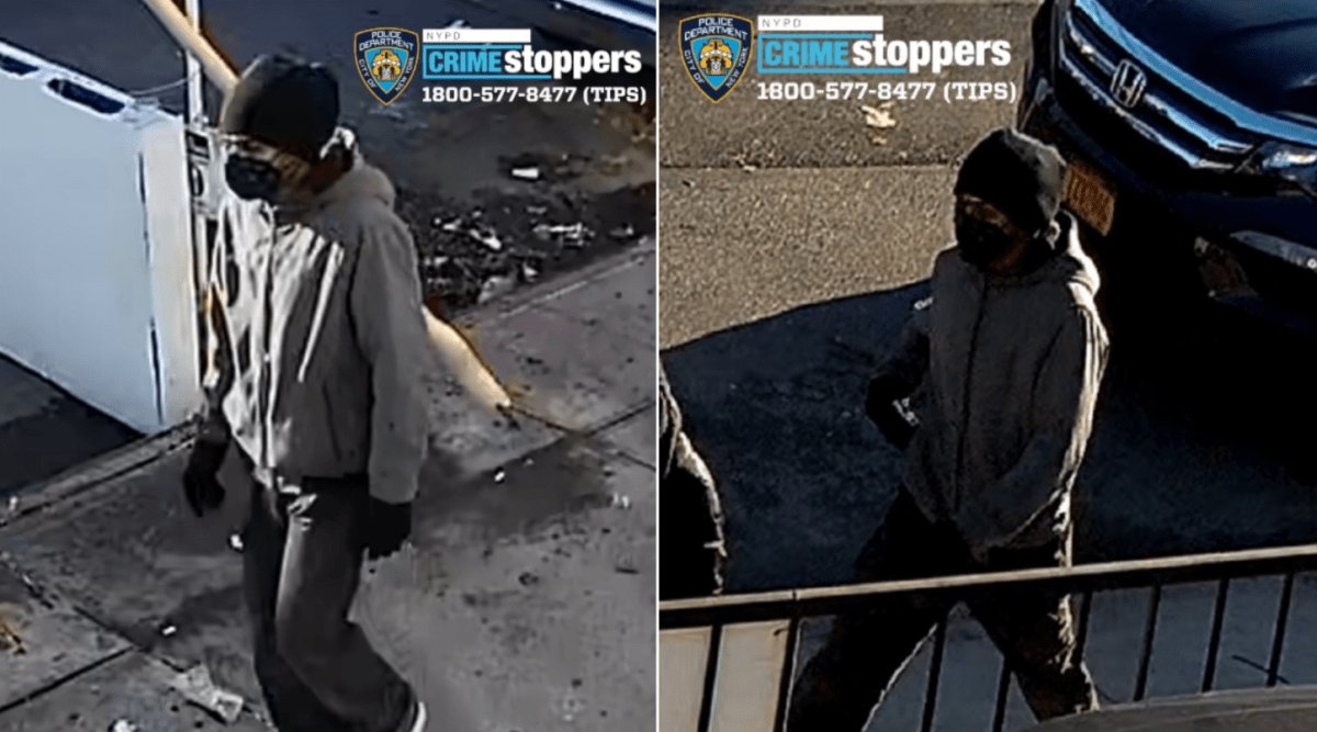 Screen Shot 2020-11-20 at 10.56.50 AM