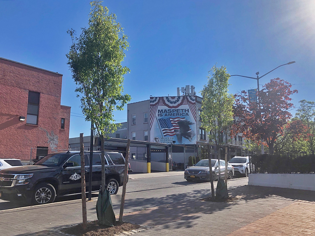 maspeth trees 1