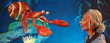 1634241777_back_image_dk-show-header-1000×400