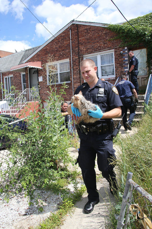 animalcruelty_2018_03_23_q01_z