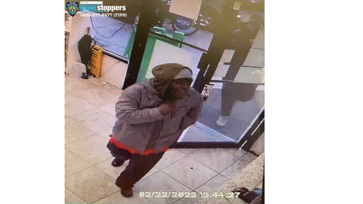 Middle Village thieves