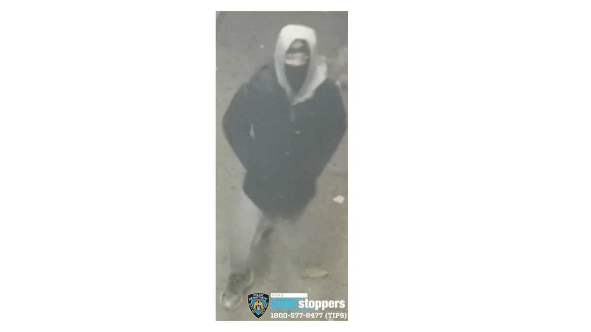 South Richmond Hill robbery