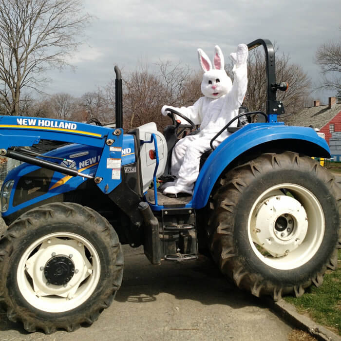 farm
