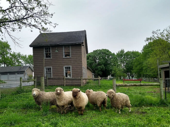 farm