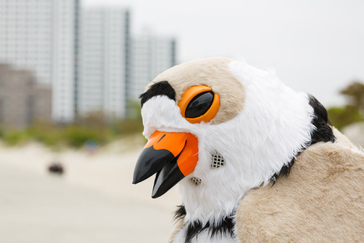 Rockaway Beach opening day
