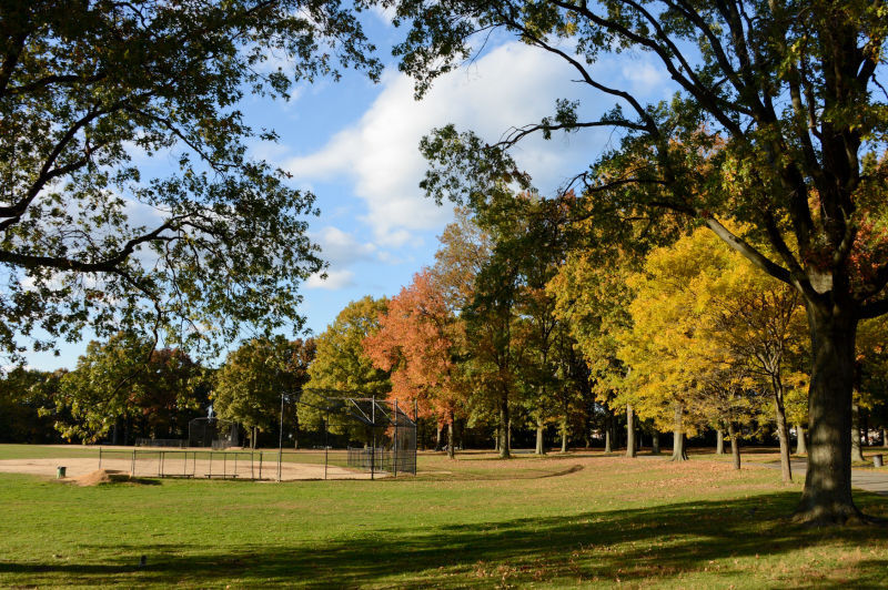 Alley Pond Park