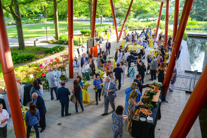 Queens Botanical Garden Rambling Rose Gala