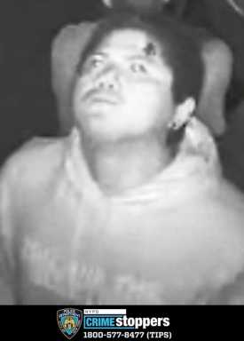 Flushing Meadows Corona Park stabbing and robbery