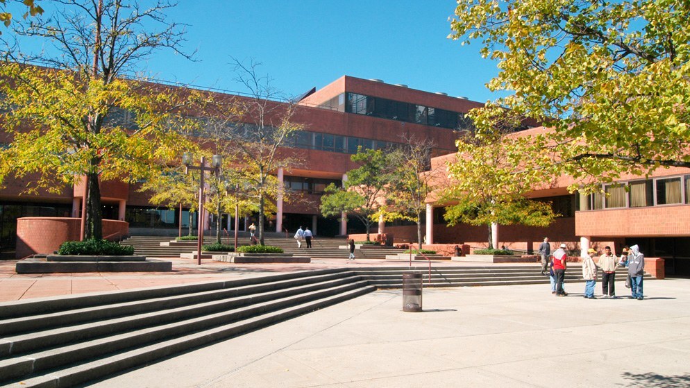 york college